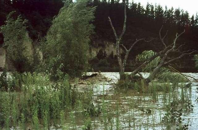 Flood