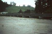Tongariro River in flood