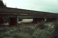 Tongariro River in flood,