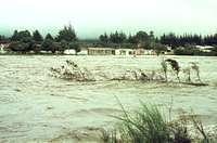 Tongariro River floods Bridge Lodge