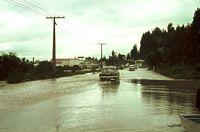 Tongariro River floods River Road