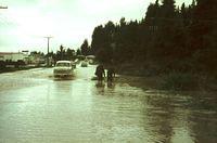 Tongariro River floods garage